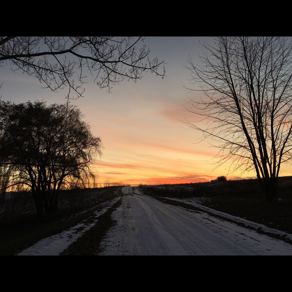 Meet your Posher, Elli